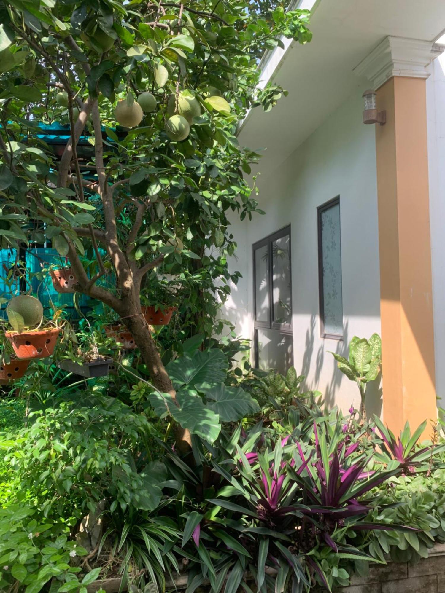 Tam Coc Minh Gia Homestay Ninh Binh Exterior photo